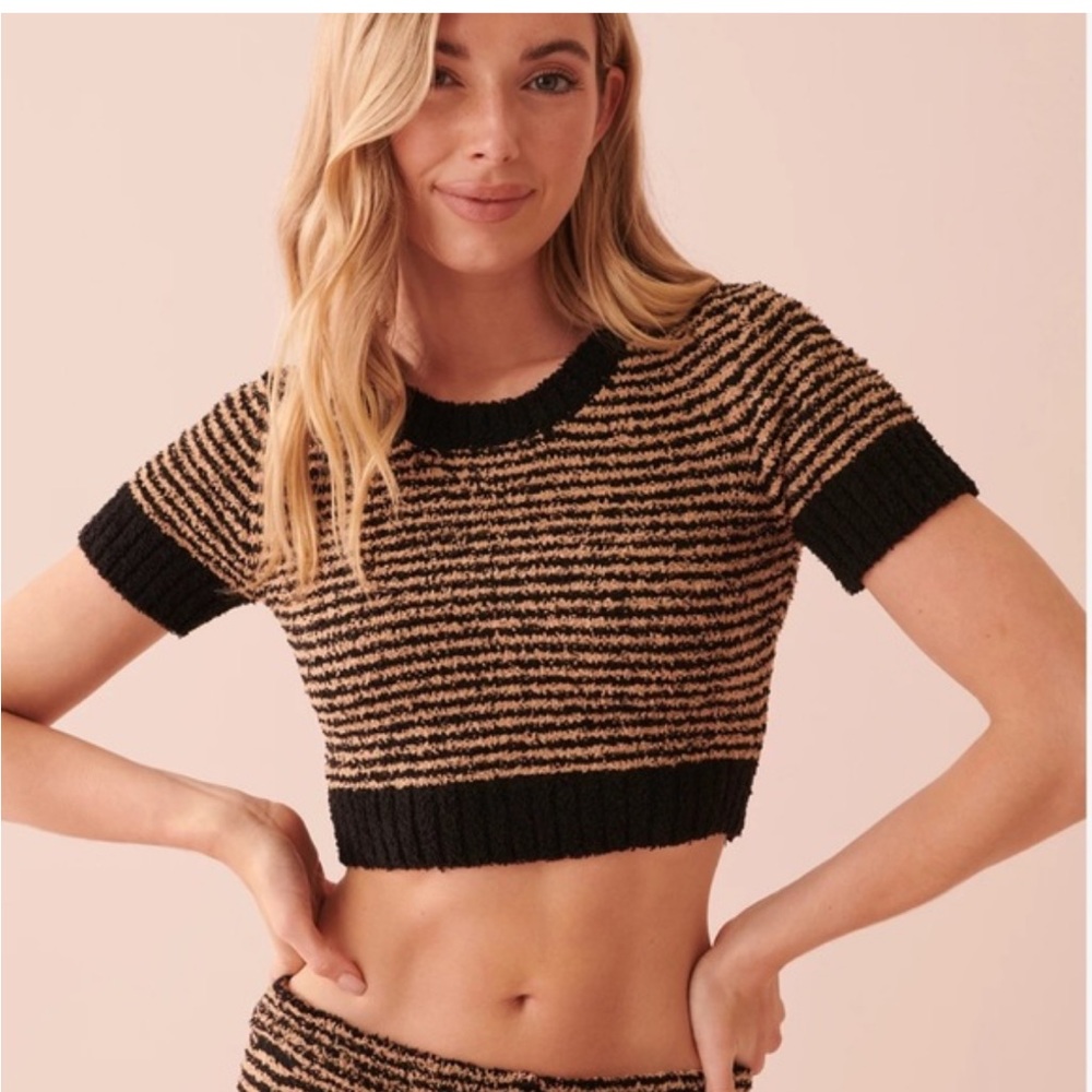 La Vie En Rose Black and Tan Striped Crop Top